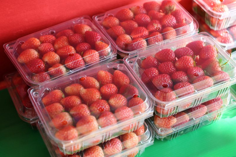 一名網友在PTT上發文分享，逛超市時驚覺一盒250克的草莓竟要價359元，讓人十分詫異。示意圖／Ingimage
