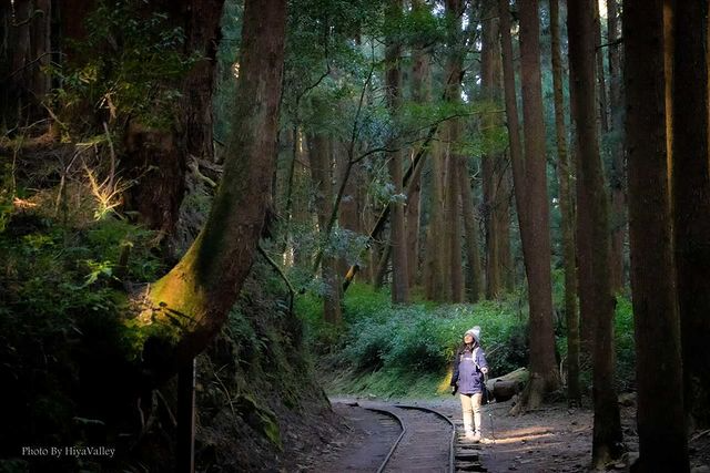 位於南投與嘉義交界的特富野古道，被譽為「最美的鐵道森林步道」。 照片來源：IG ...