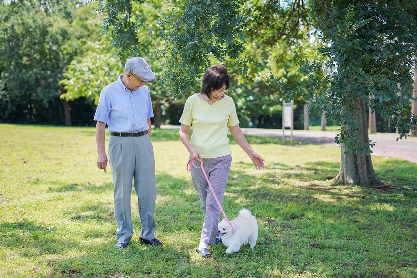 研究顯示，熟齡族飼養寵物有益身心健康。 圖／Shutterstock