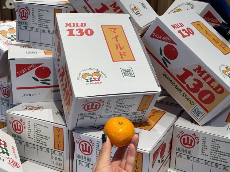 Mia C’bon開幕限量首賣的福岡產2公斤盒裝蜜柑，售價499元，限量500箱。記者黃筱晴／攝影