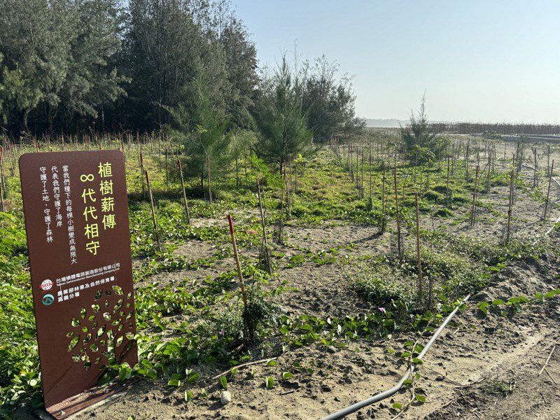 台積電在北門雙春啟用植樹造林計畫，希望給海岸線帶來新的屏障。記者莊曜聰／攝影