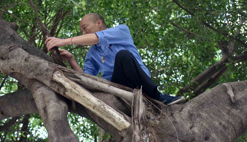 韓國瑜當市長時爬樹防治登革熱，至今仍讓許多人印象深刻。圖／本報系資料照片