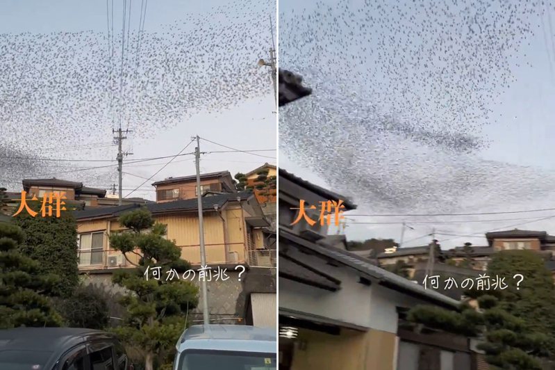 不同縣的日本網友上傳影片，指地震前1至4天在天空上發現大批雀鳥群飛。圖／取自X平台