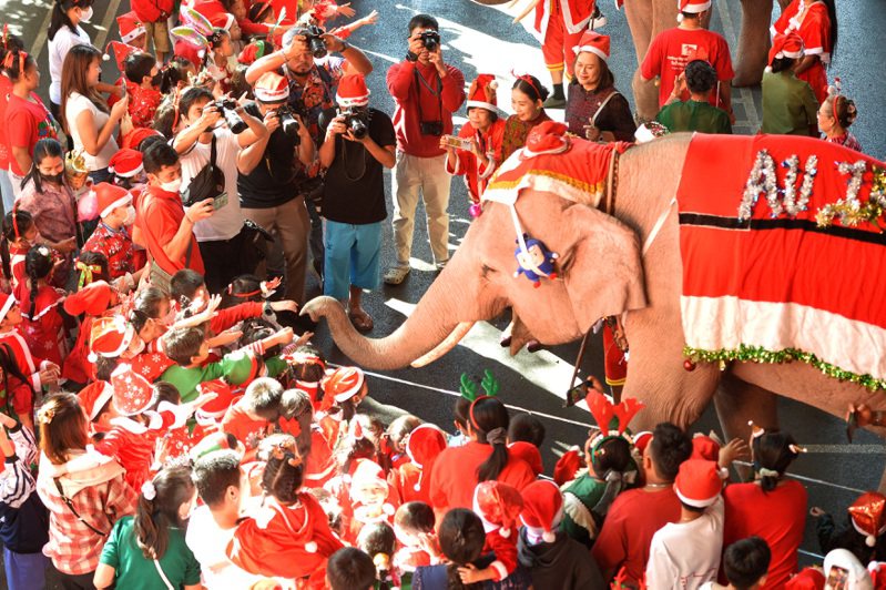 中泰3月起將永久互為免簽。圖為上周耶誕節泰國大城府一所學校裡的馴象師扮成「聖誕老人」，騎大象為學生發放禮物，促進大城府旅遊業發展。（新華社）