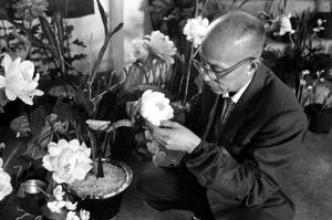 1960年1月7日，潘牛人造花個展，圖為潘牛創作情景。圖／聯合報系資料照片