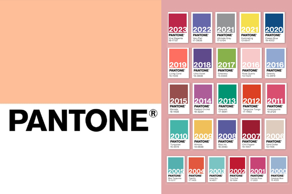 2024 Pantone代表色「Peach Fuzz 」柔和桃，是介於粉色和橙色之間、柔和迷人的蜜桃色調，給人一種溫柔舒適的色彩感受。圖片來源／Pantone
