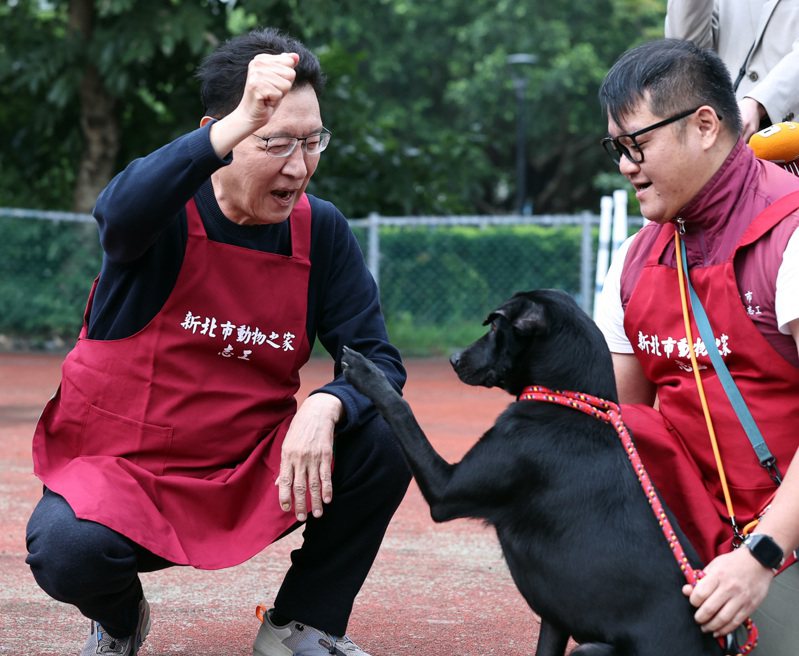 國民黨副總統候選人趙少康（左）下午參訪板橋動物之家，與訓練有素的黑犬互動。記者侯永全／攝影