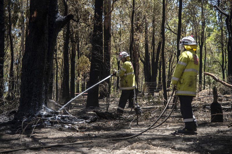 數以百計消防員今天在澳洲西澳州首府伯斯附近與失控的森林大火搏鬥，當局敦促火場附近居民撤離。圖為去年12月22日，澳洲西澳州發生叢林大火，消防隊員正在撲滅悶燒的樹木。歐新社資料照