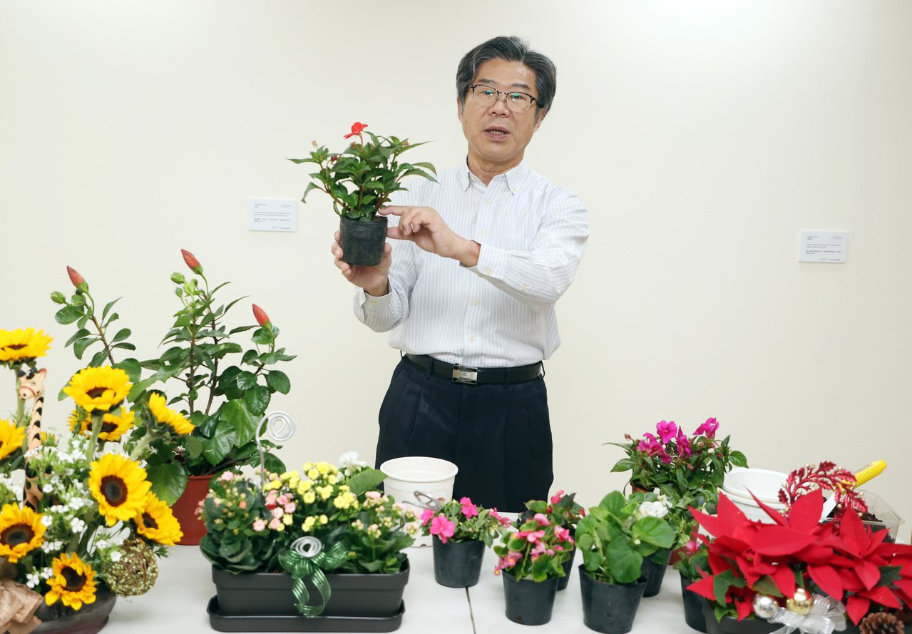 園藝治療師王献生對於植物繁殖技巧、盆栽移植方法等，極有研究。