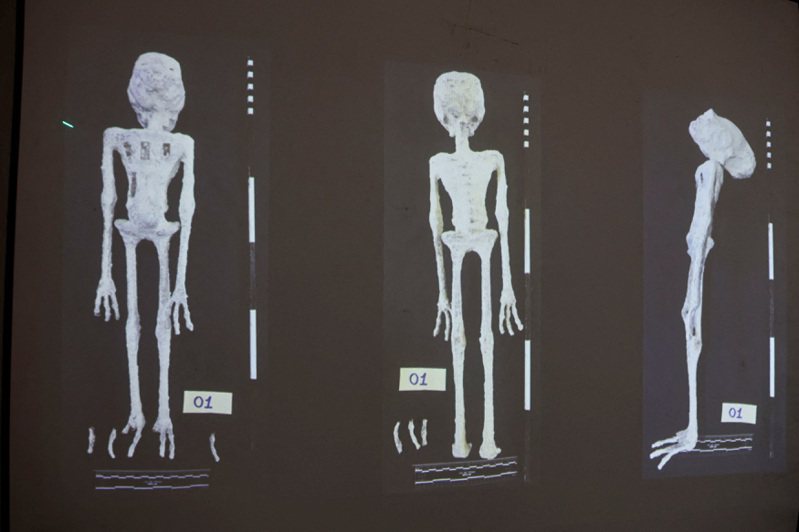 祕魯海關去年查獲在神秘包裹中查獲「外星人木乃伊」，祕魯法醫鑑定後12日出面闢謠，內容物實際是人形玩偶，由紙、塑膠、金屬、動物與人類骨頭製成。路透