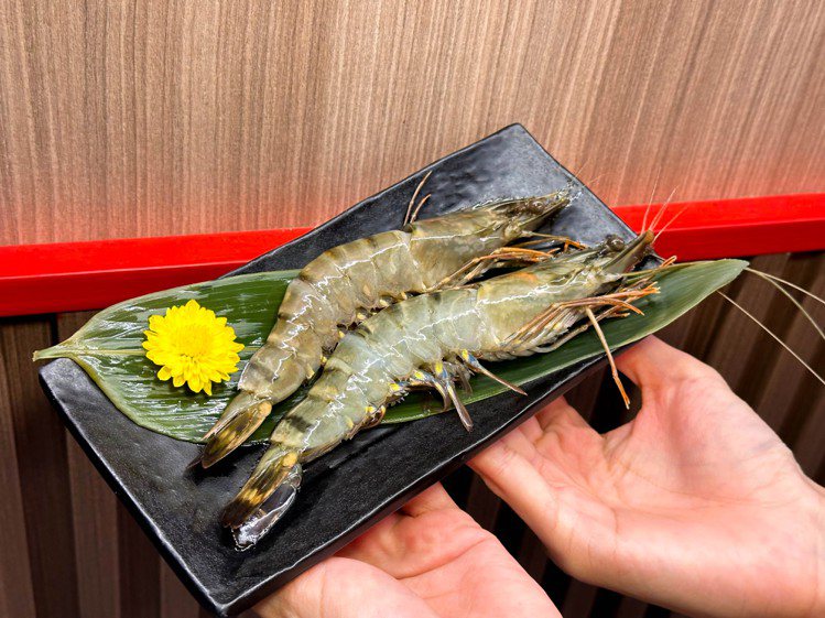 當月壽星來店用餐並打卡分享，即贈「巨大海虎蝦」。圖／馬辣提供