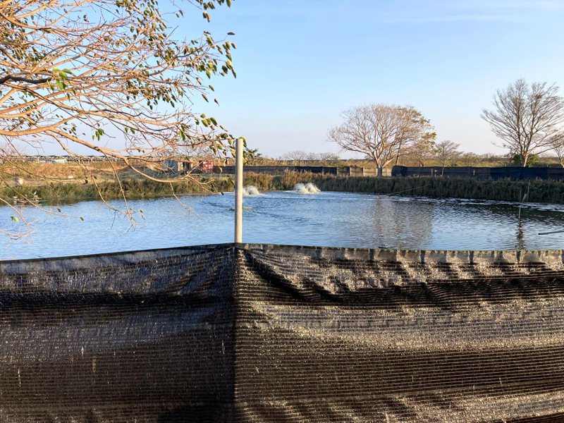 寒流周末報到逐日降溫，嘉義縣已有漁民搭蓋防風網加強防寒。圖／嘉義縣政府提供