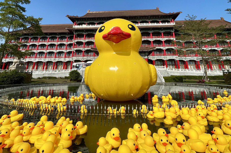 「黃色小鴨」旋風再度襲捲高雄，高雄圓山飯店在戶外水池擺上500隻小鴨，成為熱門打卡點。記者王昭月／攝影
