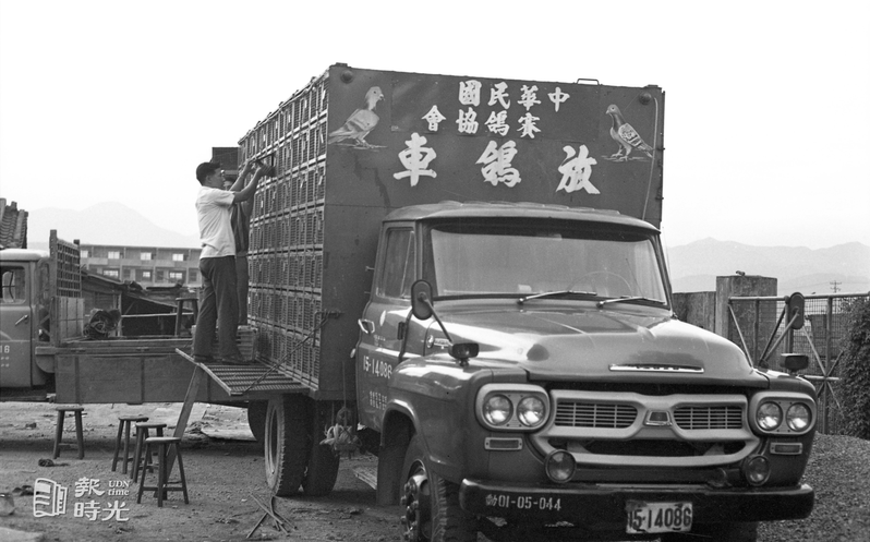 中華民國賽鴿協會的放鴿車。圖／聯合報系資料照（1968/06/29　劉玉磬攝影）