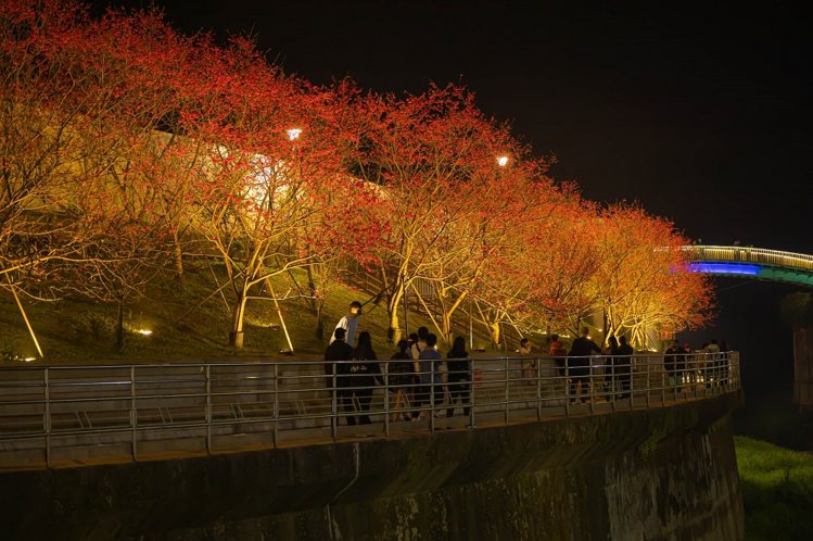 2023年樂活夜櫻季資料照。圖／台北市政府工務局公園處提供