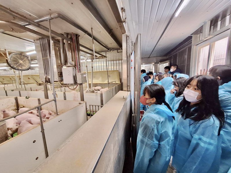 融合傳統畜牧經驗與高科技飼育設備的現代化養豬場，讓師生嘖嘖稱奇。立富畜牧場提供