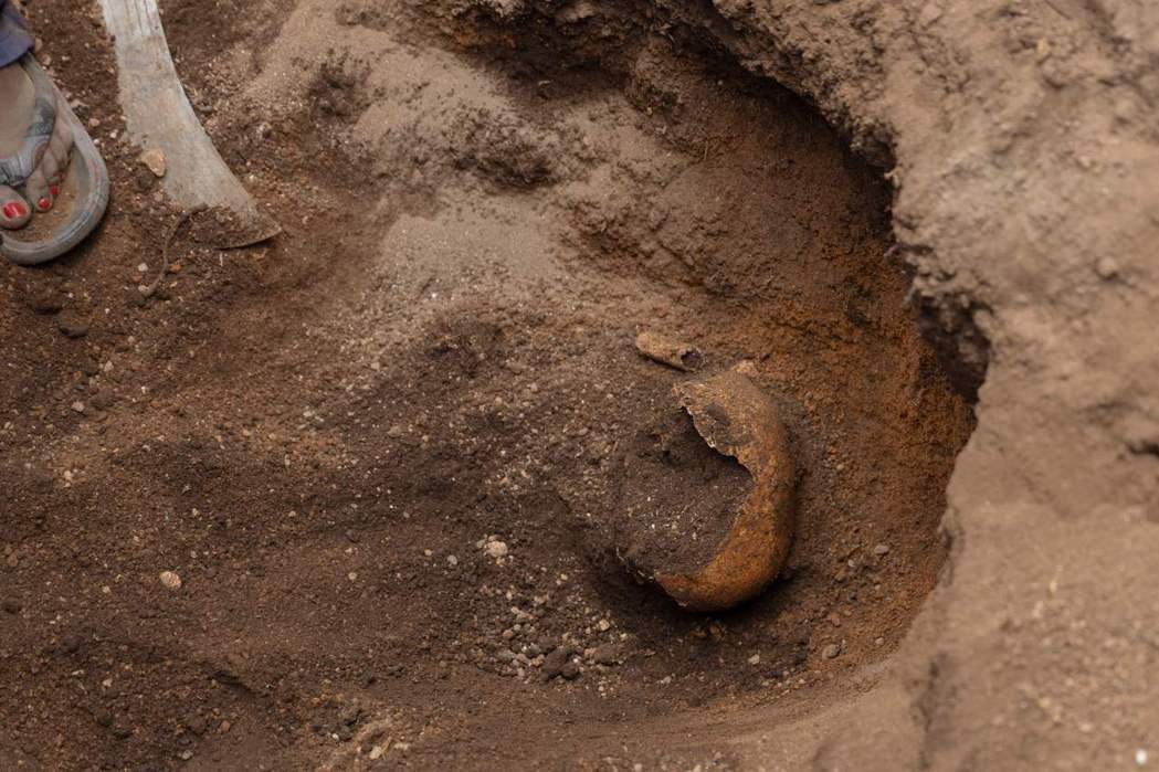 盧安達大屠殺受害者遺骨，圖中頭骨的大洞，可能是遭重擊後破裂的痕跡。 圖／法新社