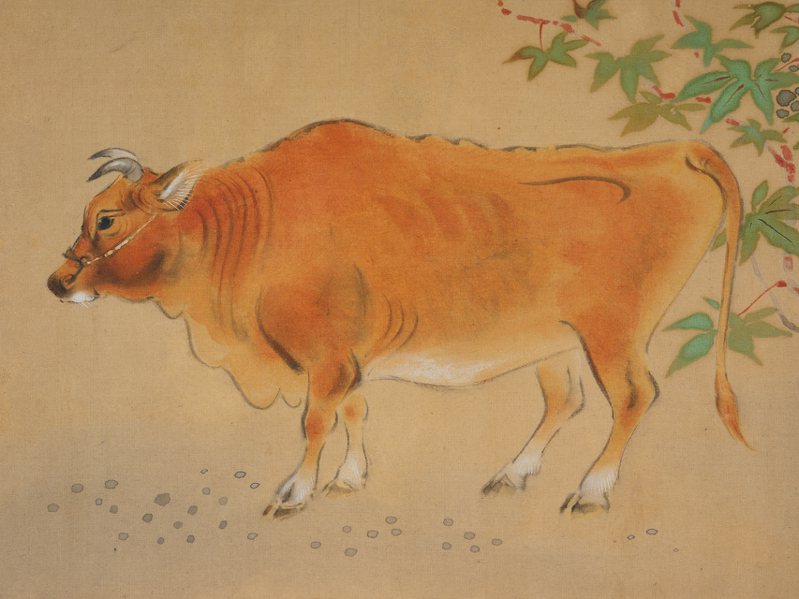 史博館開幕展將展出修復後首次展出的「黃牛」，是前輩畫家林玉山早期絹本膠彩，為創作於日治時期少量存世的精采之作。圖／史博館提供