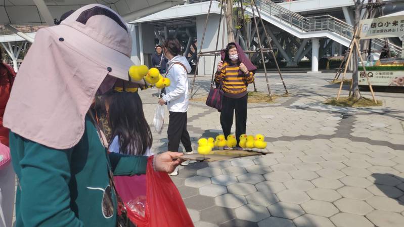 一名婦人在高雄流行音樂中心向來參觀黃色小鴨的民眾，兜售未經授權的黃色小鴨髮夾。記者王勇超／攝影