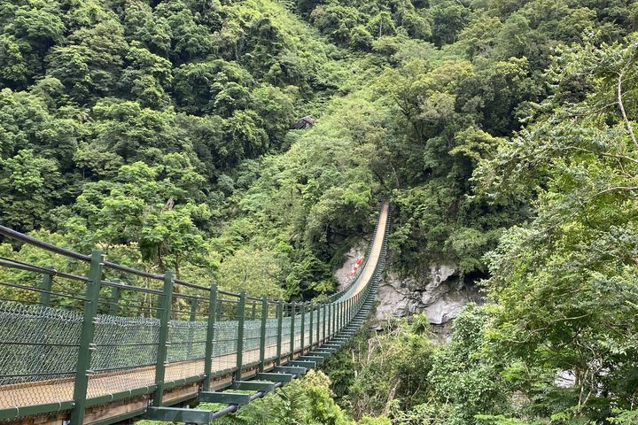 富源國家森林遊樂區：龍吟吊橋。 圖／農業部林業及自然保育署 提供