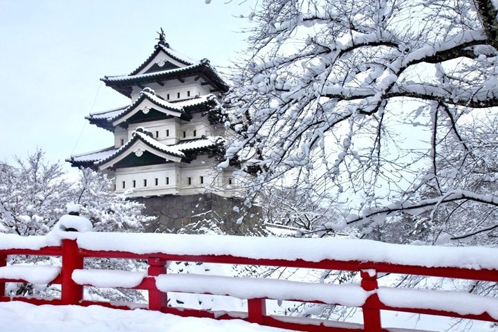 青森弘前城公園今年冬天將於2/9〜2/12舉辦雪燈籠祭。　圖：青森縣／提供