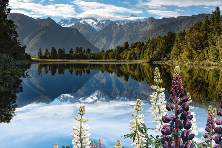 ▲深入紐西蘭南島，暢享名山大湖自然之美。　圖：尊榮國際旅行社／提供