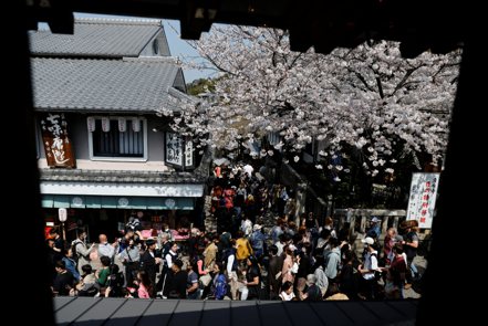 京都居民對觀光客太多感到不滿，因此在2月4日選出以抑制過度旅遊為政見的松井孝治為市長。圖為京都去年3月清水寺附近的洶湧人潮。路透