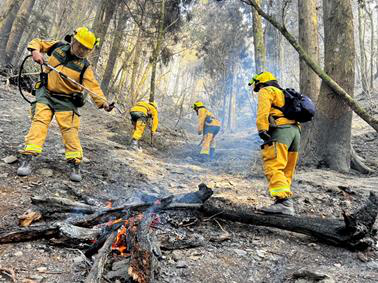 每年10月起至隔年4月梅雨季節來臨前，正是中南部乾燥季節，也是森林火災的好發期。圖為森林護管員進行殘火撲救情況。圖／農業部林業署提供