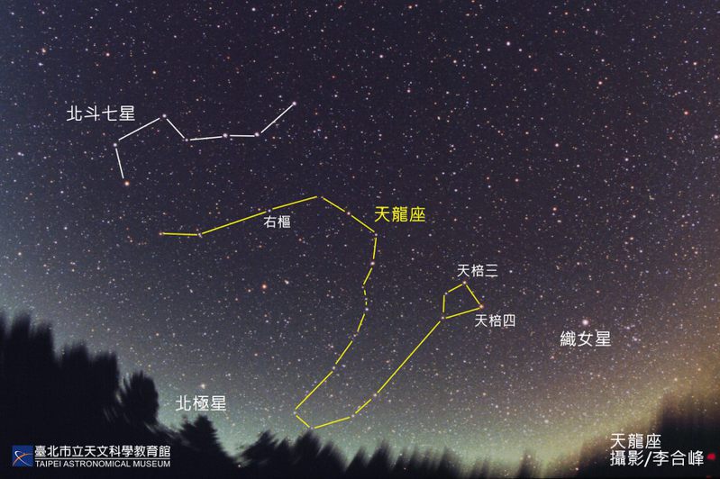 天文館說，西洋星座中也有盤踞在北方天龍座，由154顆肉眼可見恆星組成，以S型圍繞北極星一隅，午夜後現身。圖／天文館提供