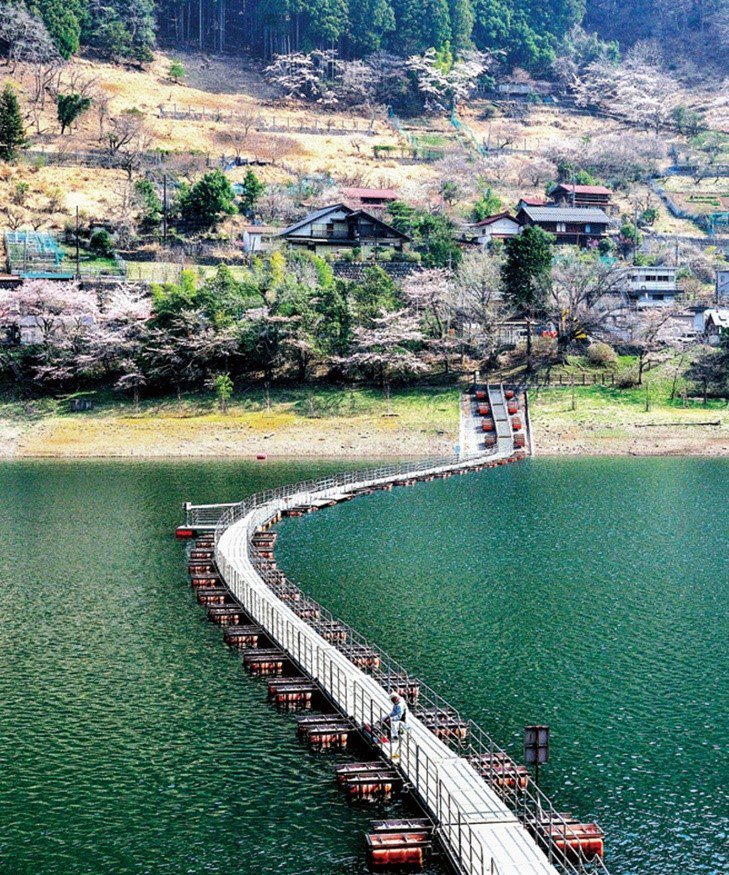 走在奧多摩湖湖面上的歩行者専用浮橋，可以享受大自然環抱。圖／東京觀光財團提供