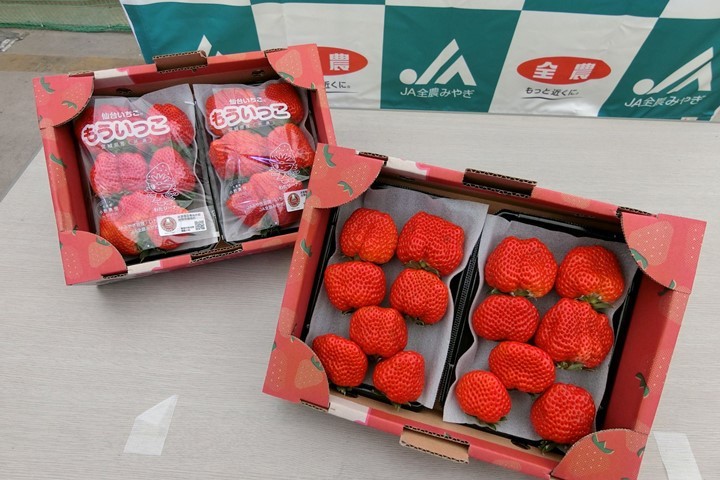 宮城縣草莓首登台！針對國內標準培育，美味「再來一個」
