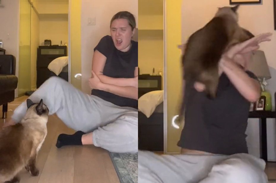 國外一名網友假裝手斷了想測試愛貓的反應，沒想到貓咪見狀反而往她身上飛撲過去，讓她哭笑不得。 圖/取自影片