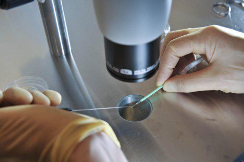 美國阿拉巴馬州最高法院2月19日裁定「冷凍胚胎」（frozen embryos）...