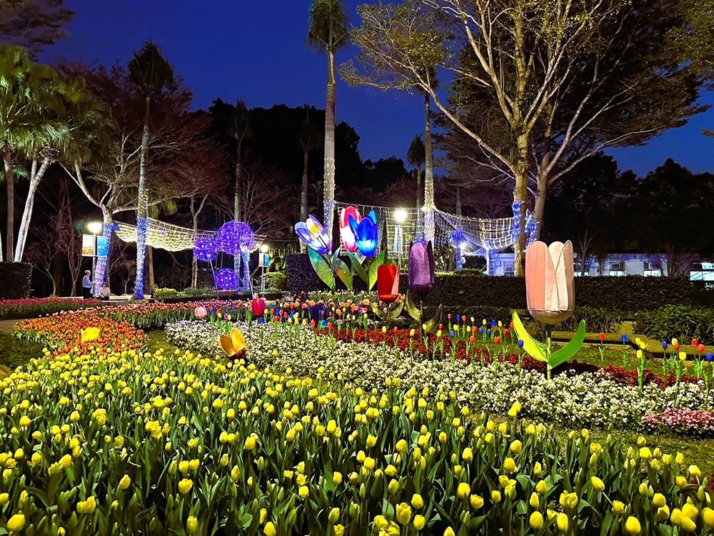 2024士林官邸鬱金香展特別在元宵節當天(2/24)及2/25特別開放到夜間10點，可賞點燈之美。