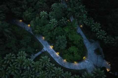 台北植物園推動「植光計畫」，希望在兼顧生態友善概念下，提供遊客一段安全舒適的夜間...