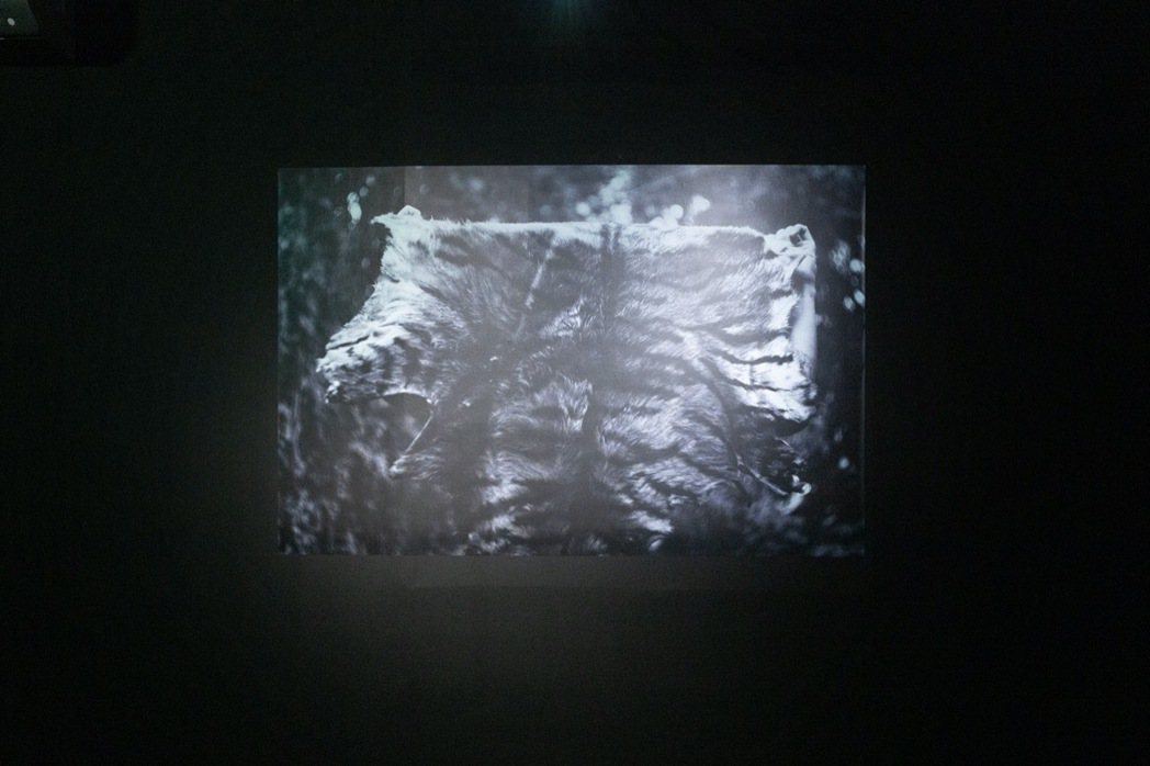 〈未知之地〉影像。 圖／台北當代藝術館提供
