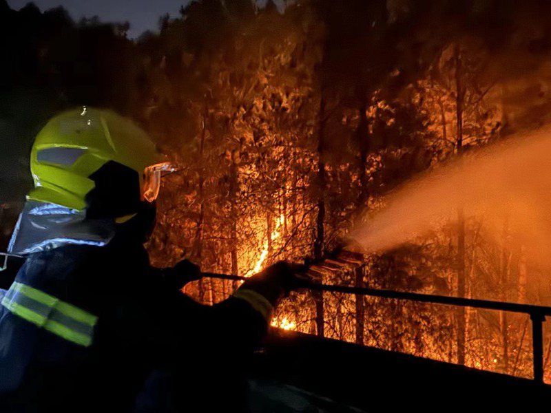 貴州省森林草原防滅火應急指揮部22日通報，2月10日至21日，貴州全省共發生森林火情221起。（取自人民網）