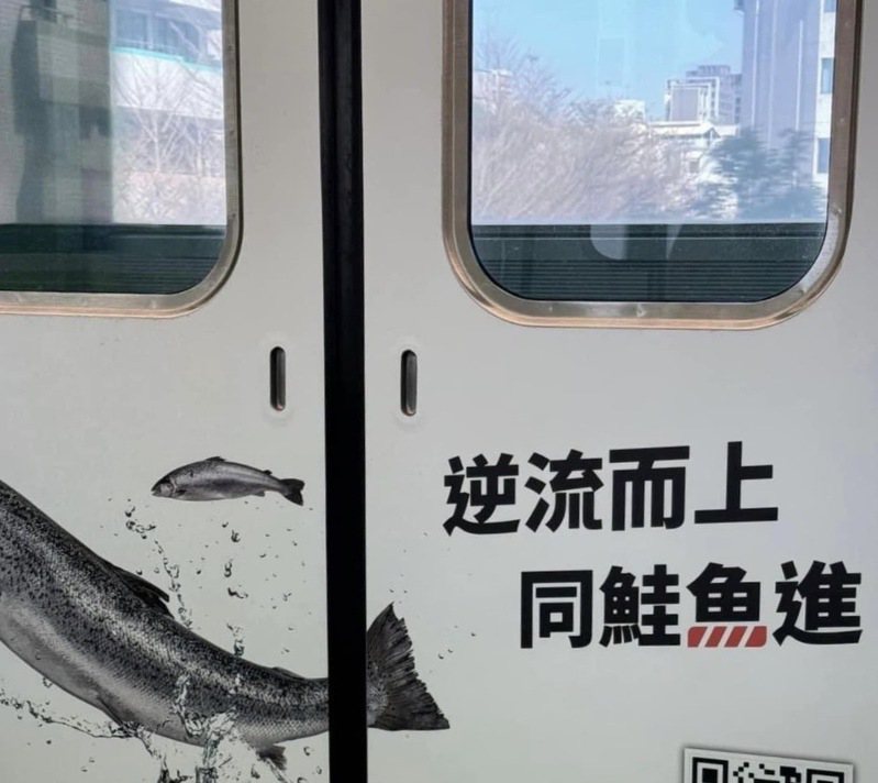 台中捷運去年新增彩繪車廂圖案，但近日有民眾發現，其中一節新的彩繪車廂有鮭魚圖案，竟然是取同歸於盡諧音的「同鮭魚進」當標語，引發爭議。圖／不顧北京反對粉絲專頁提供