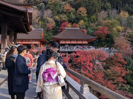 遊日本不再像疫情剛開放時候便宜了。記者楊德宜／攝影