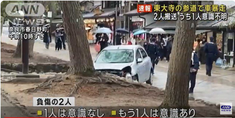 日本奈良市東大寺附近當地25日上午發生死亡車禍，79歲日本男子池永明駕駛的車輛暴衝，撞上在步道上的2人，一名62歲台灣吳姓男子遭撞後宣告不治。圖／擷取自YouTube