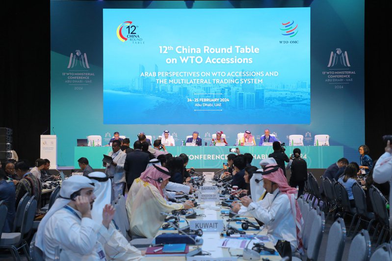 WTO第13屆部長級會議日前在阿拉伯聯合大公國首都阿布達比舉行，王文濤與戴琪在會議期間，在場邊舉行雙邊會談。圖為阿布達比舉行的第十二屆中國入世圓桌會議。新華社