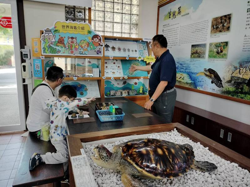 為讓民眾珍惜全球少有的生態奇景，鵬管處與台南應用科技大學合作在小琉球遊客中心打造世界海龜櫥窗，讓遊客更了解海龜生態，一起守護海洋生物的家園。圖／鵬管處提供