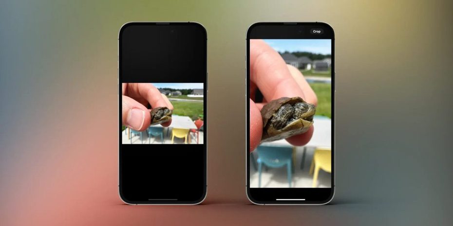 iOS 17的快速裁切照片，讓使用者能更快速完成裁切照片功能。（圖／翻攝9to5mac）
