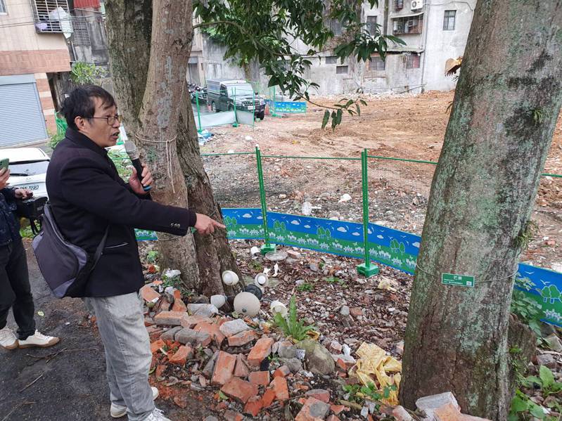 台灣樹人會秘書長潘翰疆指著受保的芒果樹遭到大型機具壓傷。記者邱書昱／攝影