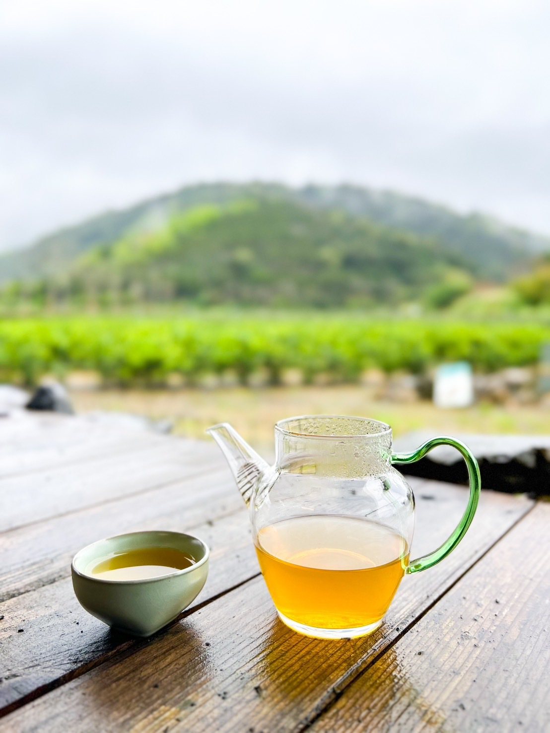 宜蘭冬山茶獨有韻味，成為嗜茶者的新歡。Eric Hsu攝