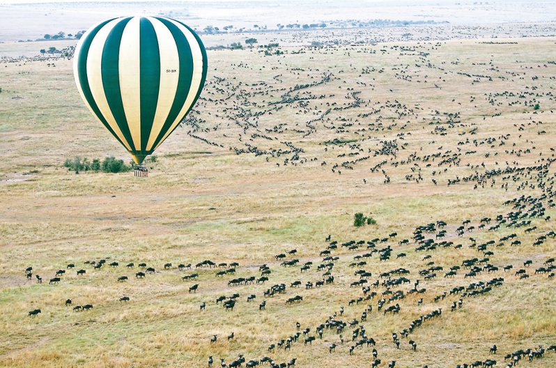 到馬賽馬拉乘坐熱氣球，升空俯瞰動物大遷徙。攝影／Jason Hafso