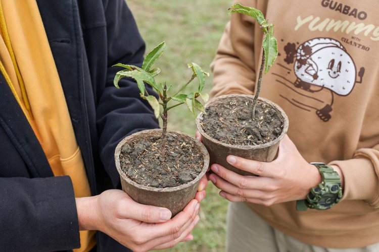 植樹月活動現場完成指定任務即可兌領苗木，提供9種對在地生態友善的原生樹苗。記者吳致碩／攝影