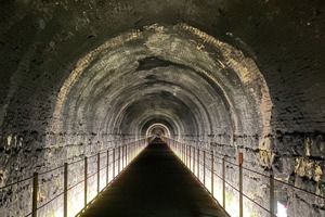 廢隧道變身／被列入哈佛課程當典範 三貂嶺生態隧道用「弱設計」驚艷國際