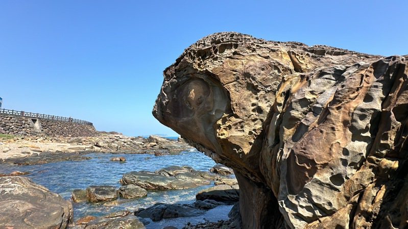 基隆市外木山海岸有塊奇岩，有人發現形似大烏龜引頸模樣，上傳網路成為話題，不少人前去尋找欣賞。記者邱瑞杰／攝影