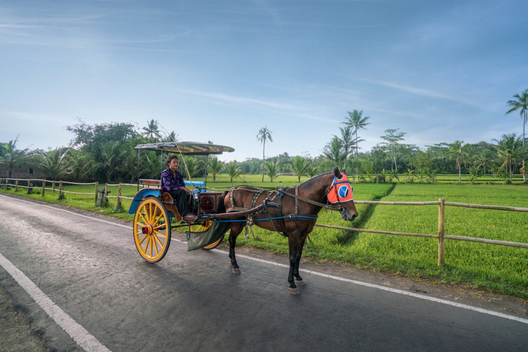 印尼Andong Horse and Cart。圖｜Amanjiwo